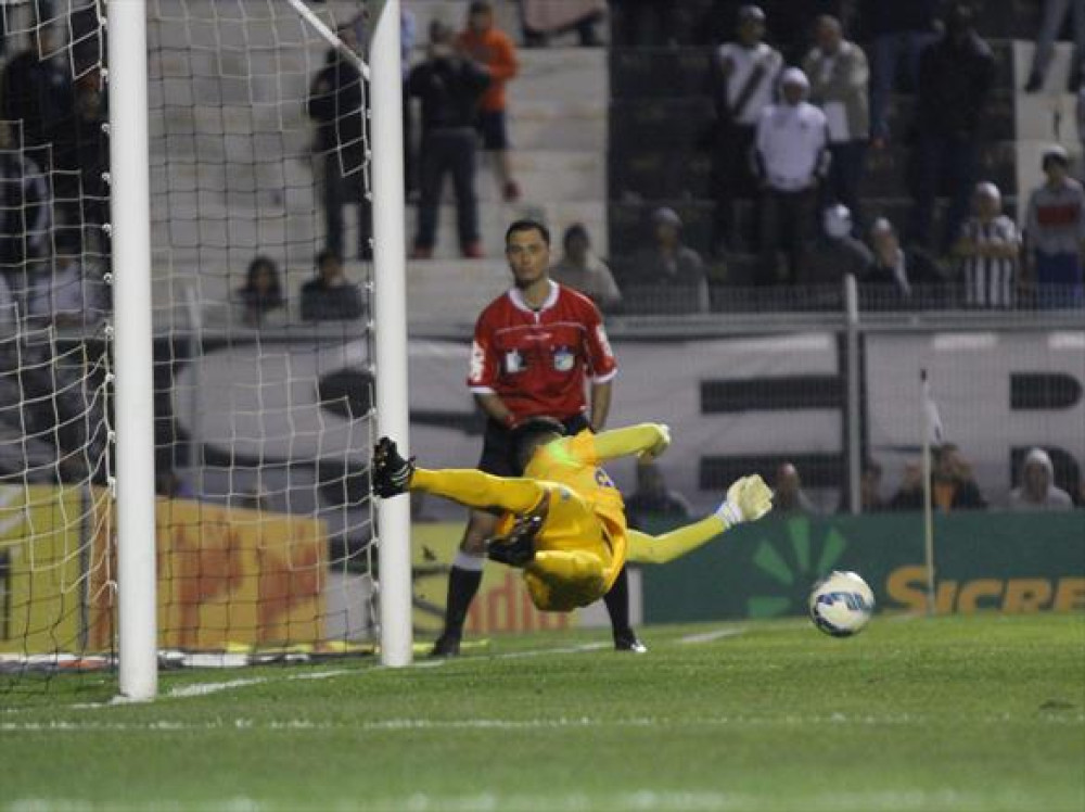 Vaná comemora reabilitação na temporada