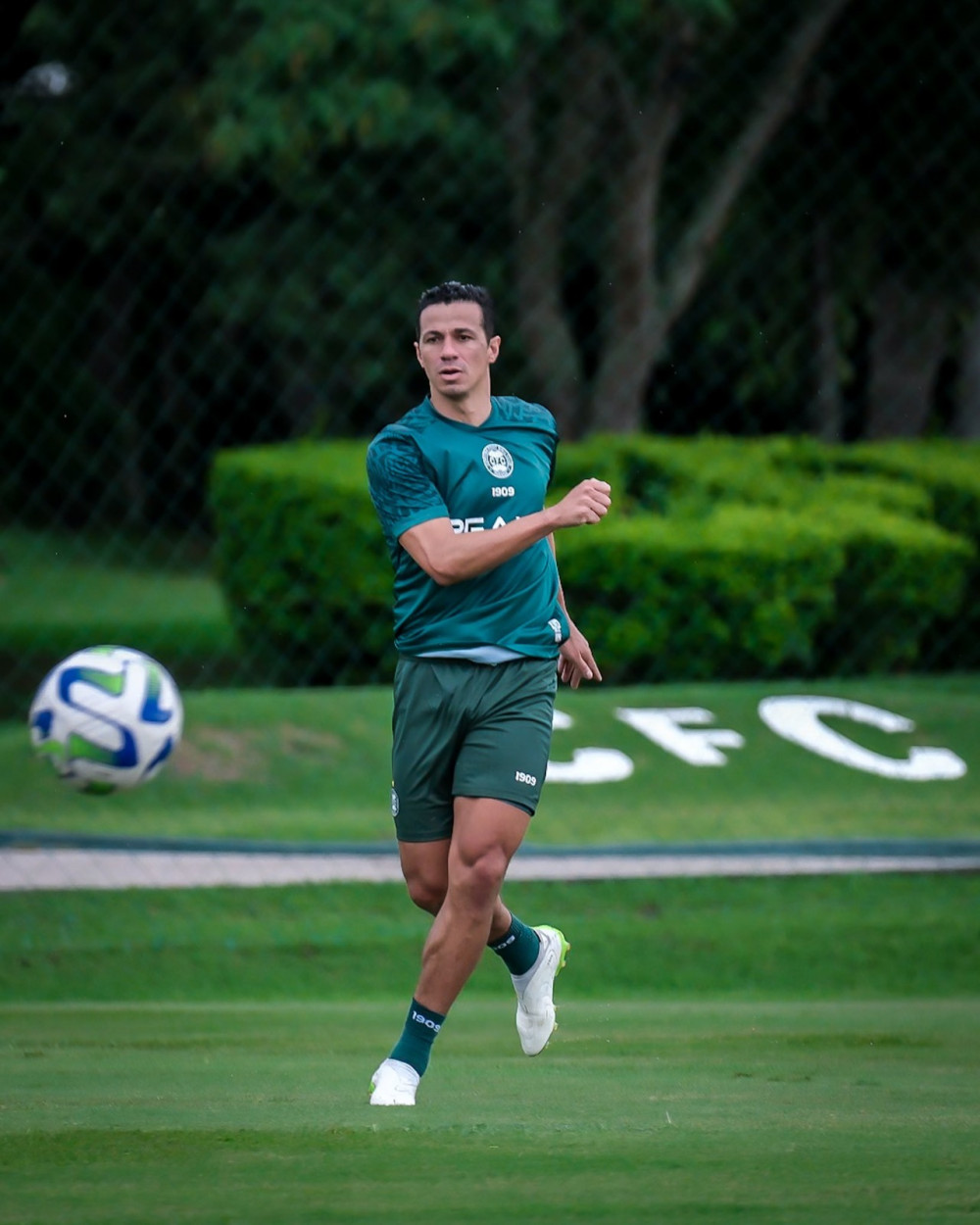 Leandro Damião tem seu nome publicado no BID
