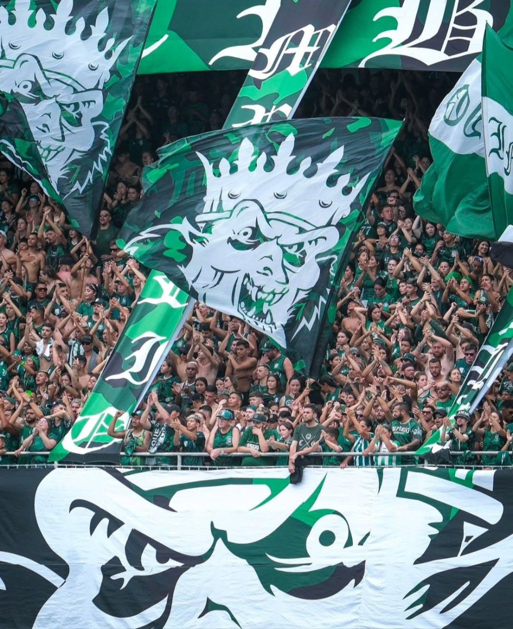 Coritiba lidera Série B também nas arquibancadas e registra a maior média de público da competição