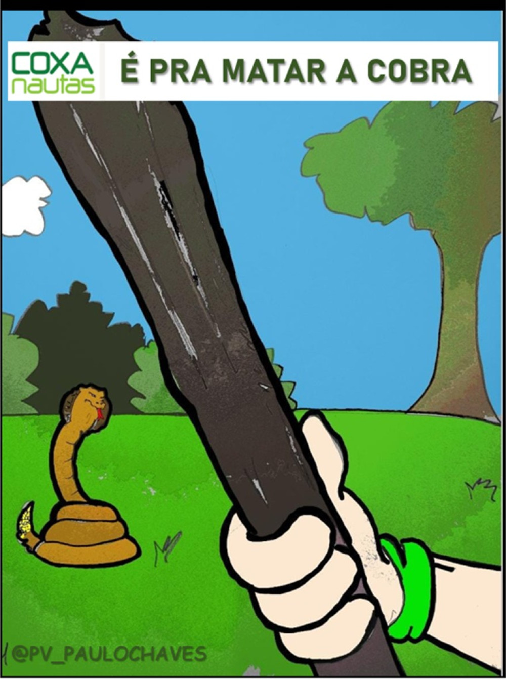É pra Matar a Cobra