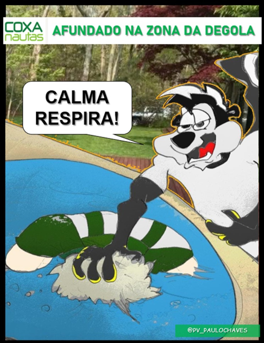 Atropelado pelo Gambá 